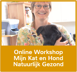 Online Workshop mijn Kat en Hond Natuurlijk Gezond