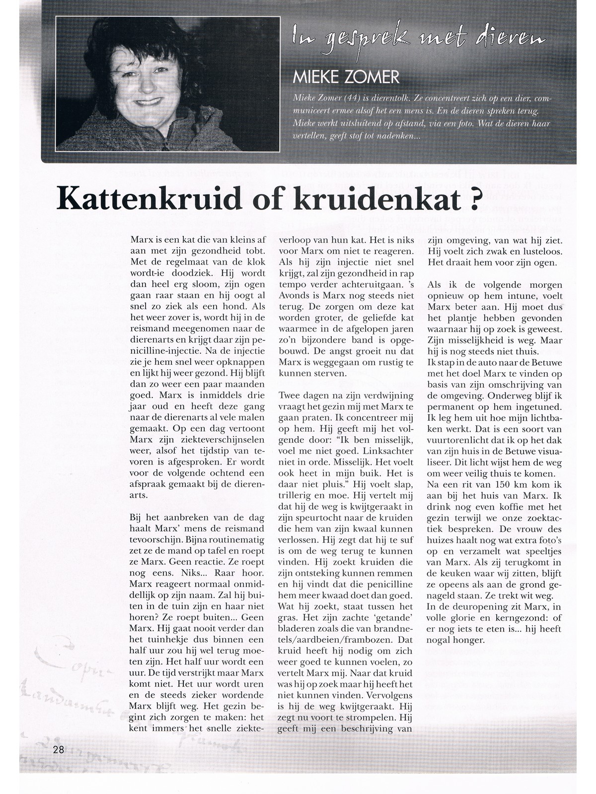 Paravisie 200512, Kattenkruid of kruidenkat