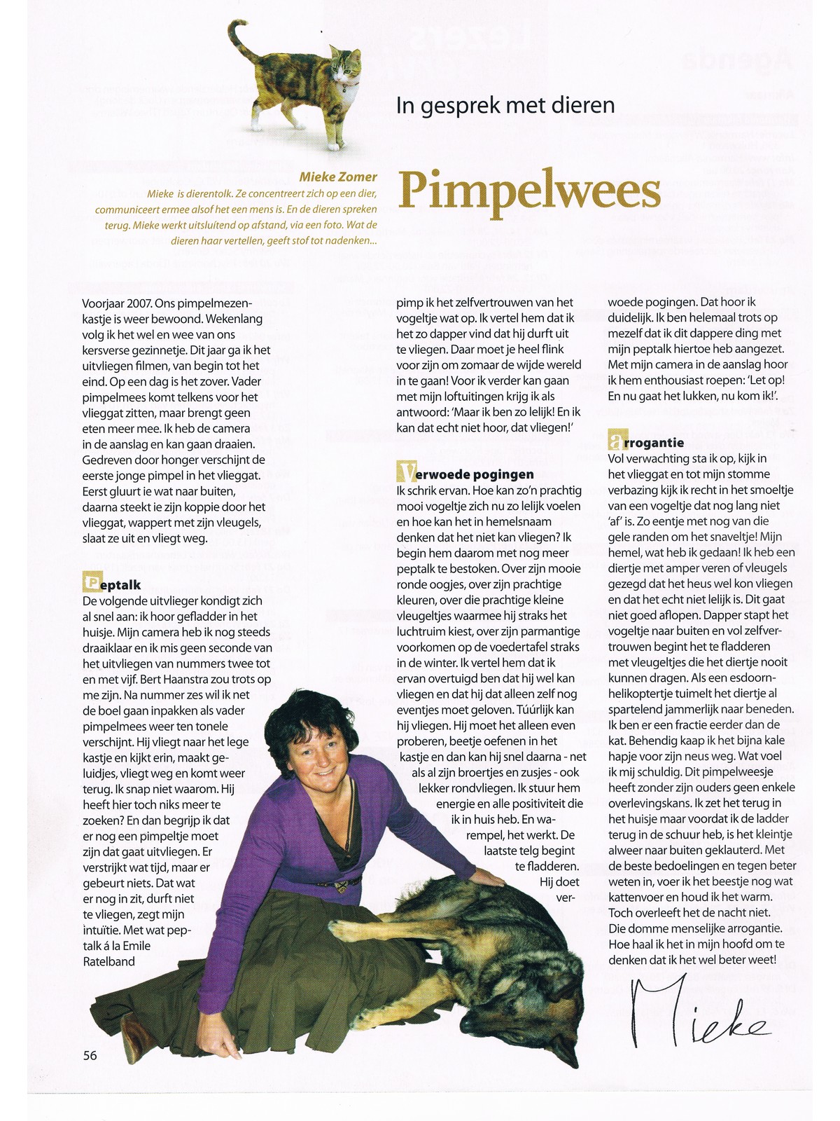 Paravisie 200802, Pimpelwees